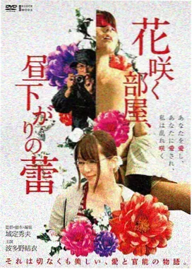 夜航西渡